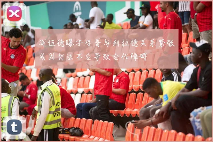 海伍德曝字母哥与利拉德关系紧张或因打法不合导致合作障碍
