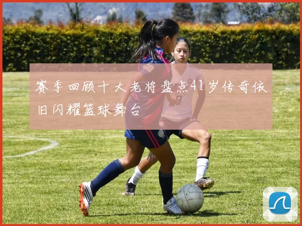 赛季回顾十大老将盘点41岁传奇依旧闪耀篮球舞台