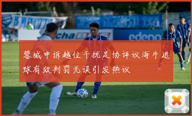 蓉城申诉越位干扰足协评议海牛进球有效判罚无误引发热议